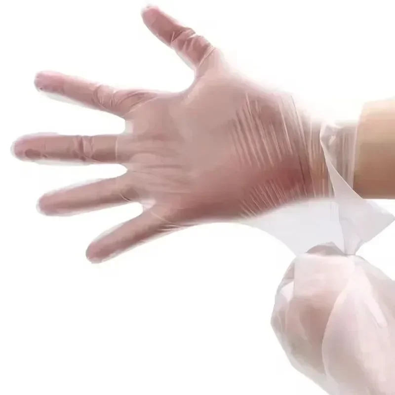 100/200 قطعة الغذاء الصف قفازا - مراجعة Latex Disposable Glove وسعره